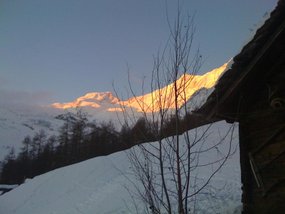 Chalet Birkhahn Saas Fee Exteriör bild