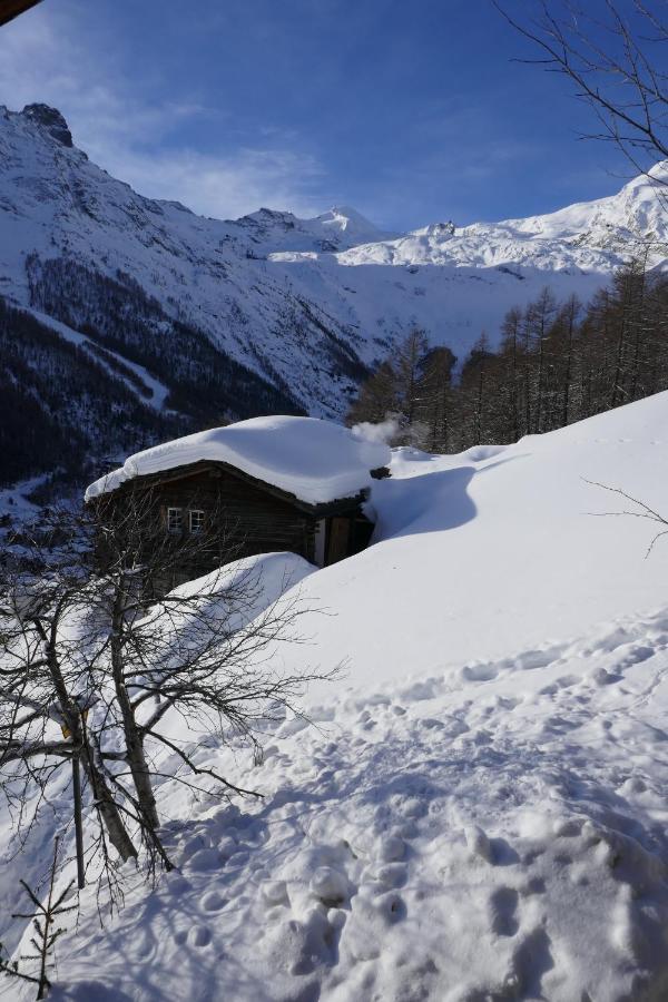 Chalet Birkhahn Saas Fee Exteriör bild