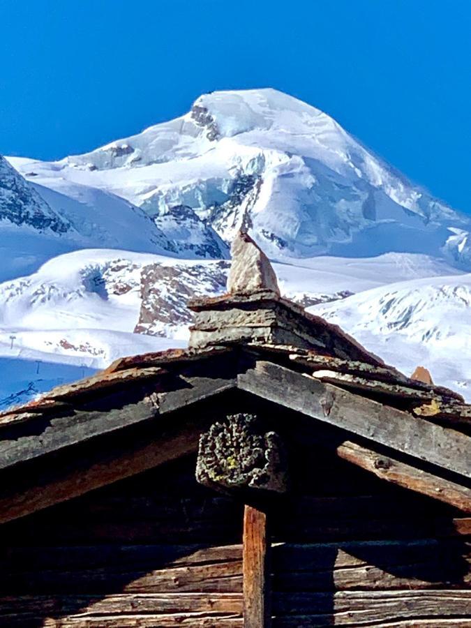 Chalet Birkhahn Saas Fee Exteriör bild