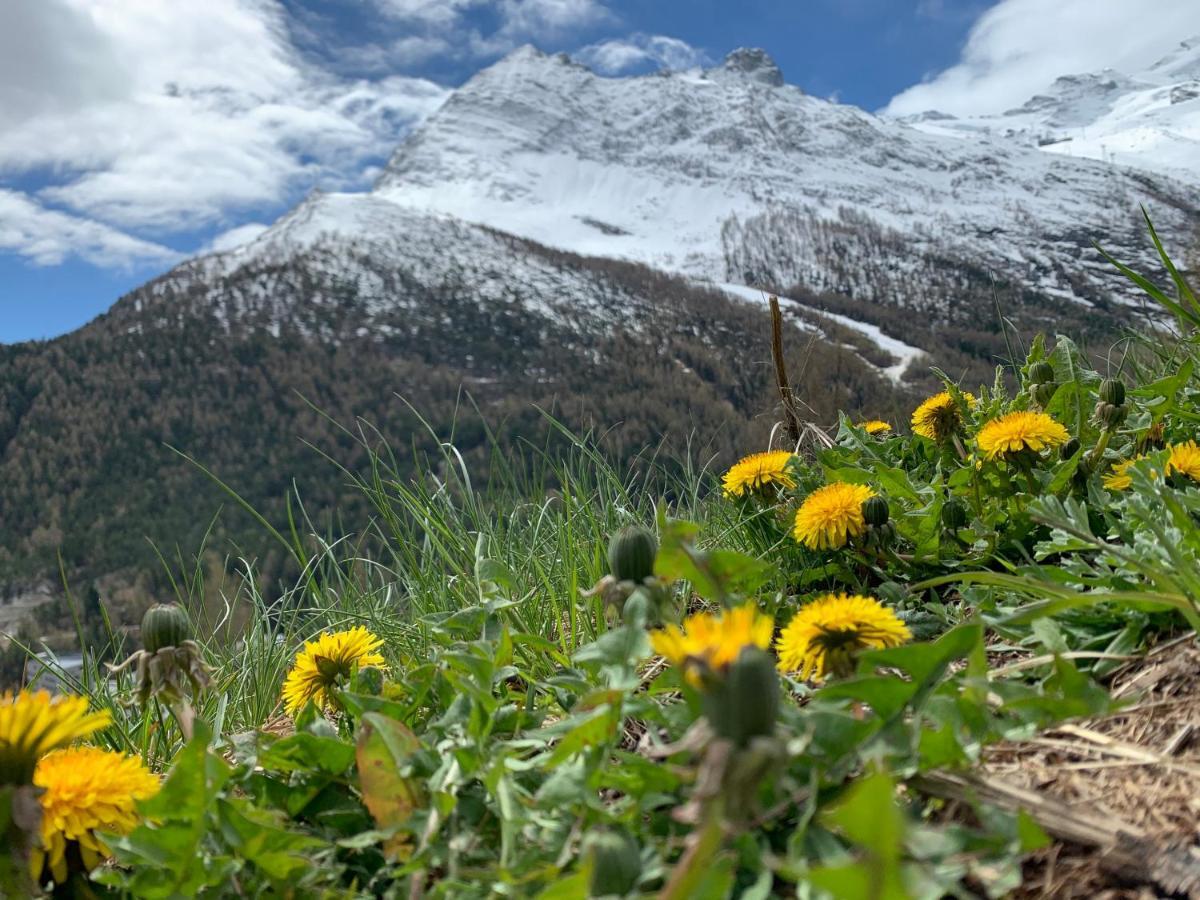 Chalet Birkhahn Saas Fee Exteriör bild