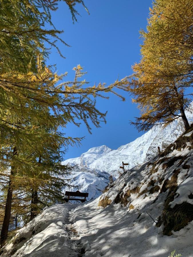 Chalet Birkhahn Saas Fee Exteriör bild