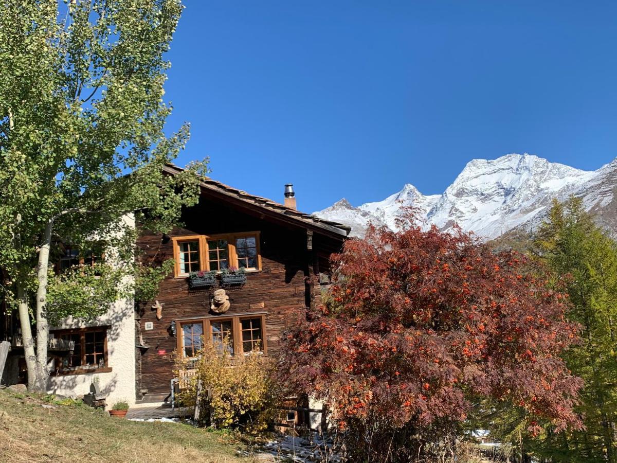 Chalet Birkhahn Saas Fee Exteriör bild