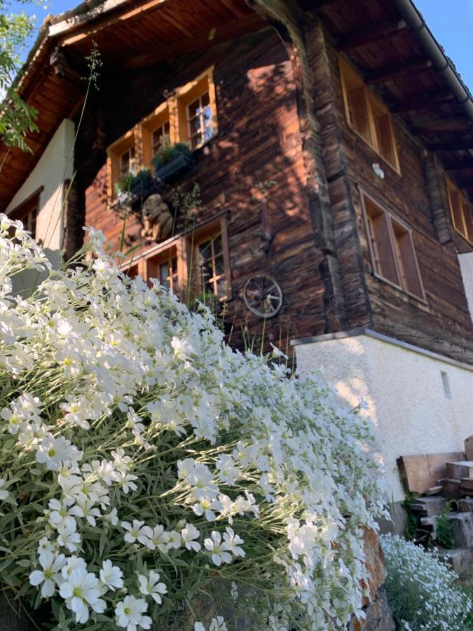Chalet Birkhahn Saas Fee Exteriör bild