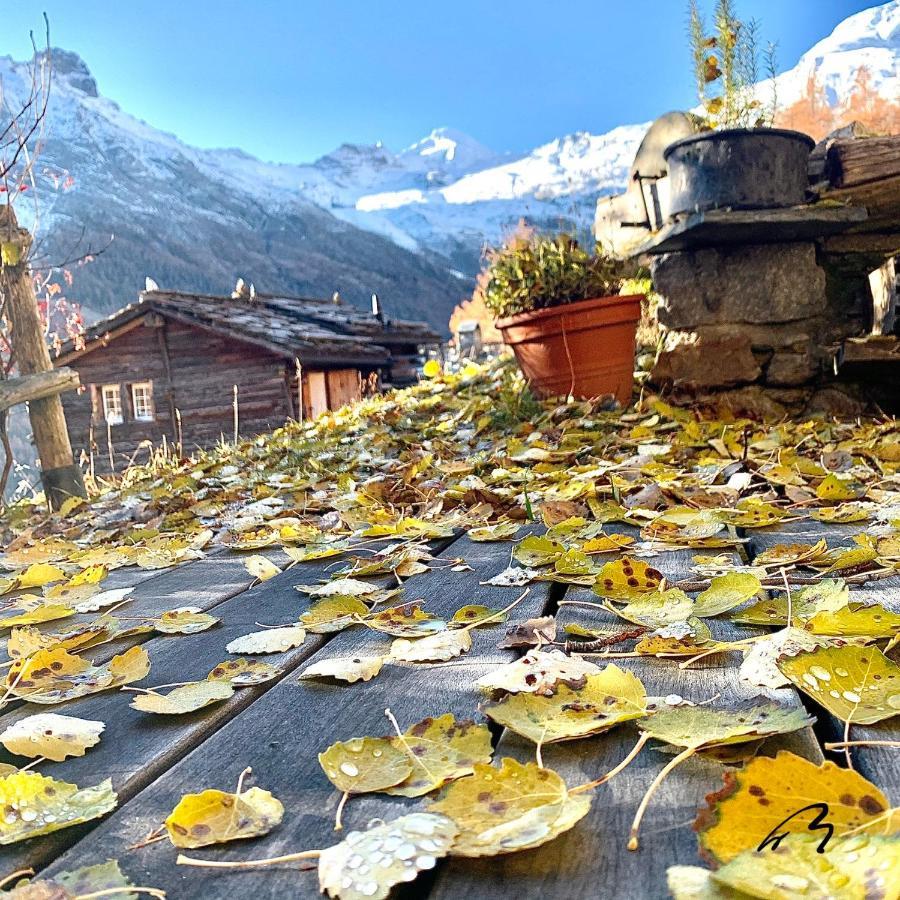 Chalet Birkhahn Saas Fee Exteriör bild