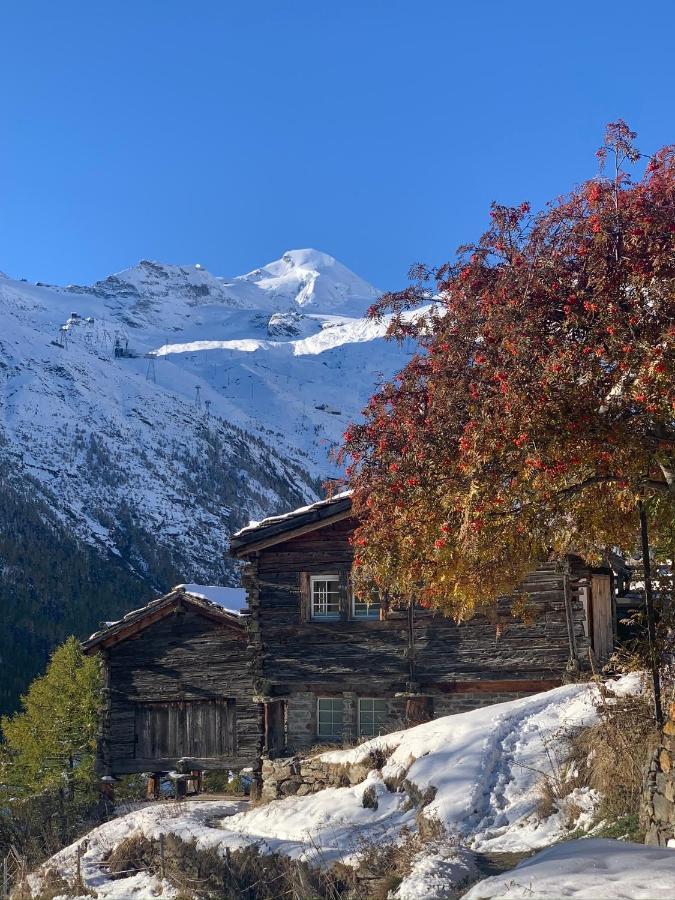 Chalet Birkhahn Saas Fee Exteriör bild